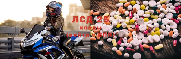 гашик Медногорск