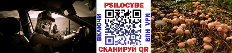 Купить где  Обоянь  Галлюциногенные грибы MAGIC MUSHROOMS 